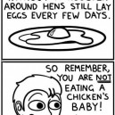 Think Twice Next Time You Wanna Eat Eggs