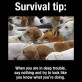 Important Survival Tip