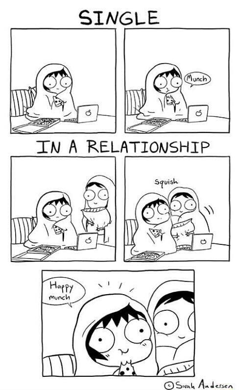 Single vs. in a relationship | Funlexia - Funny Pictures