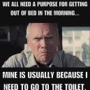 A purpose to get out of bed
