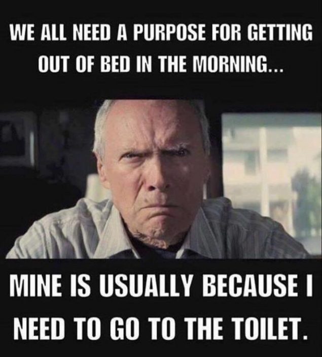 A purpose to get out of bed | Funlexia - Funny Pictures