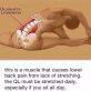 The cause of back pain