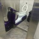 Rider dream toilet