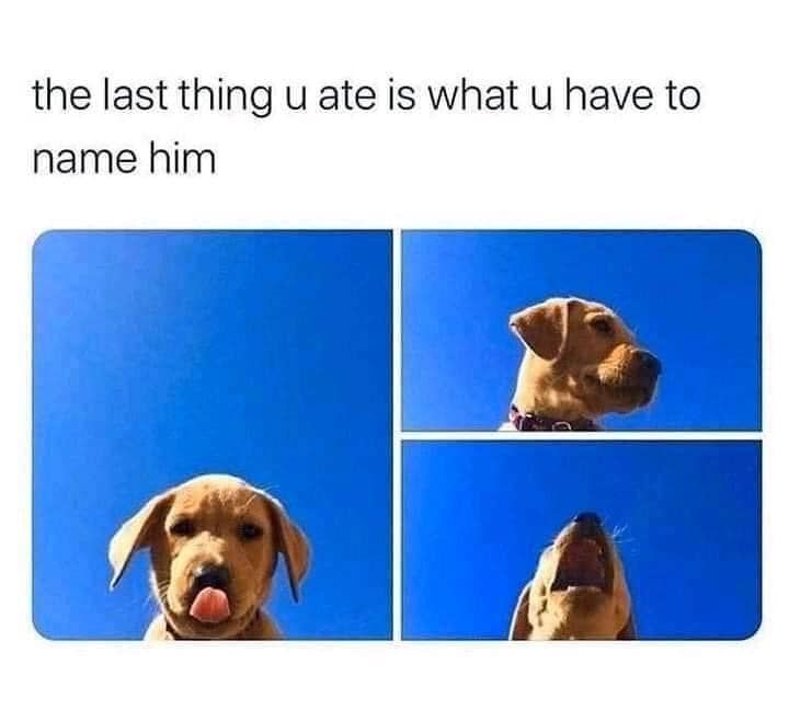 The Last Thing You Ate Is What You Have To Name Him